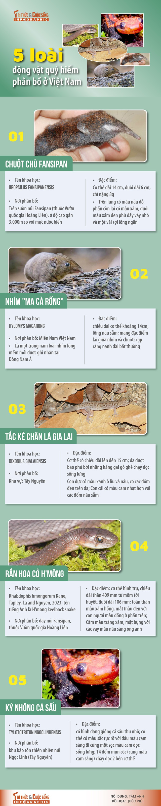 5-loai-dong-vat-quy-hiem.jpg