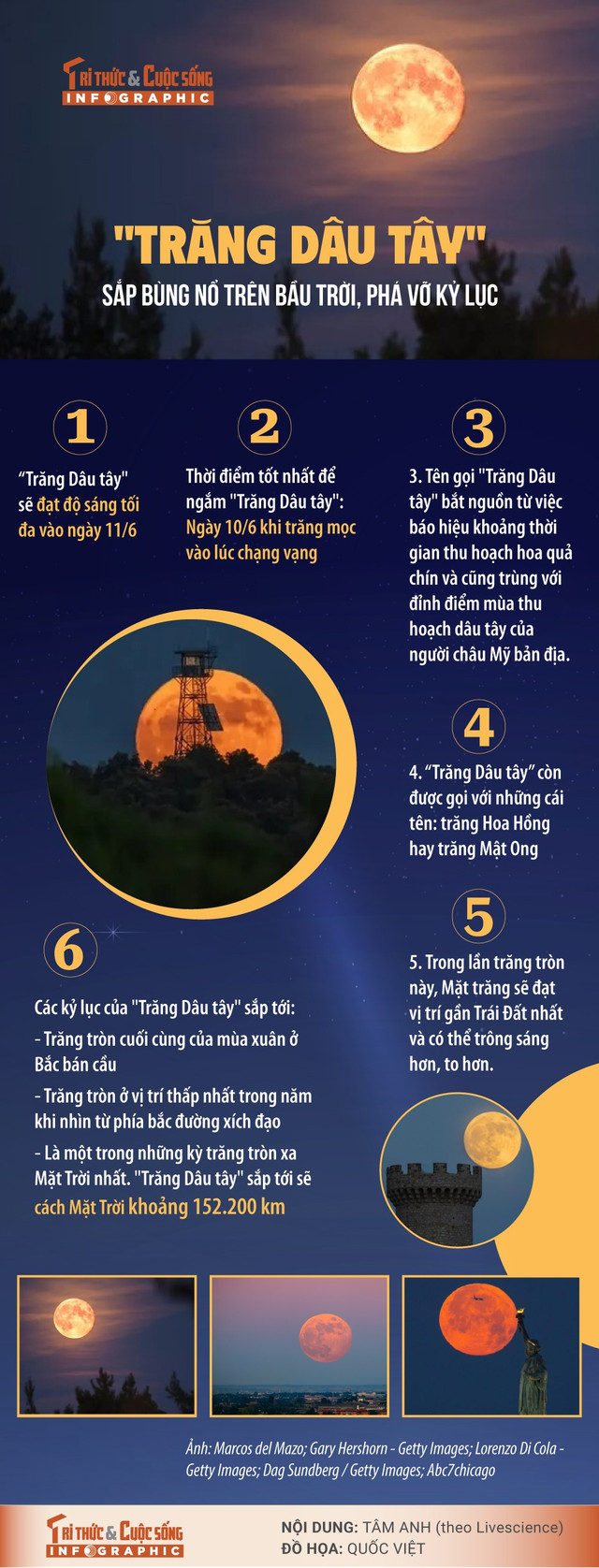 trang-dau-tay.jpg