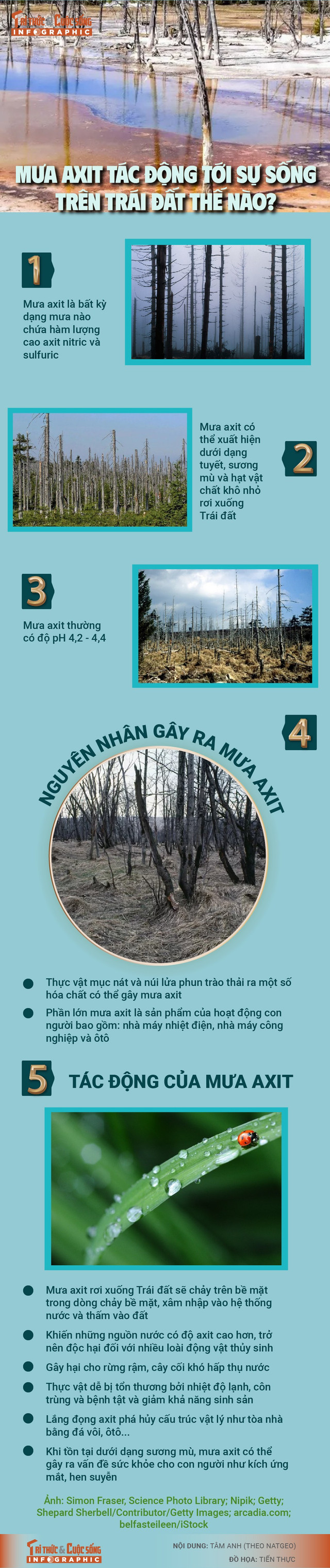 info-mua-axit-01.jpg