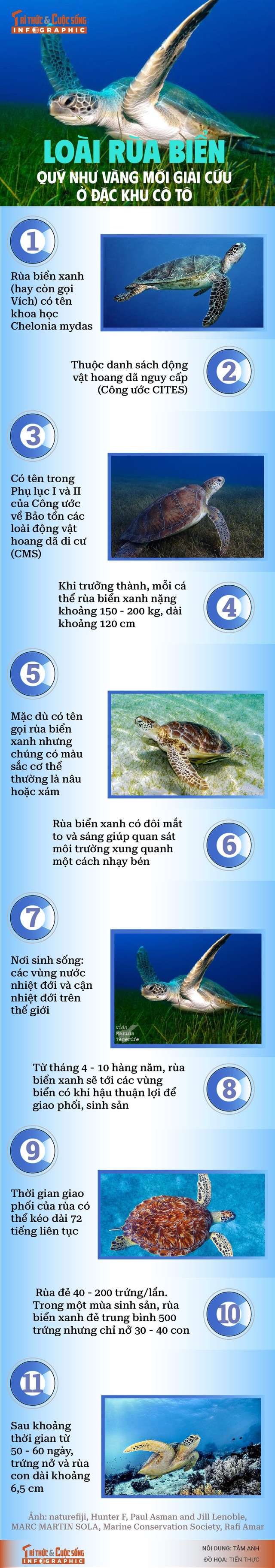 info-ruabien-01-01.jpg