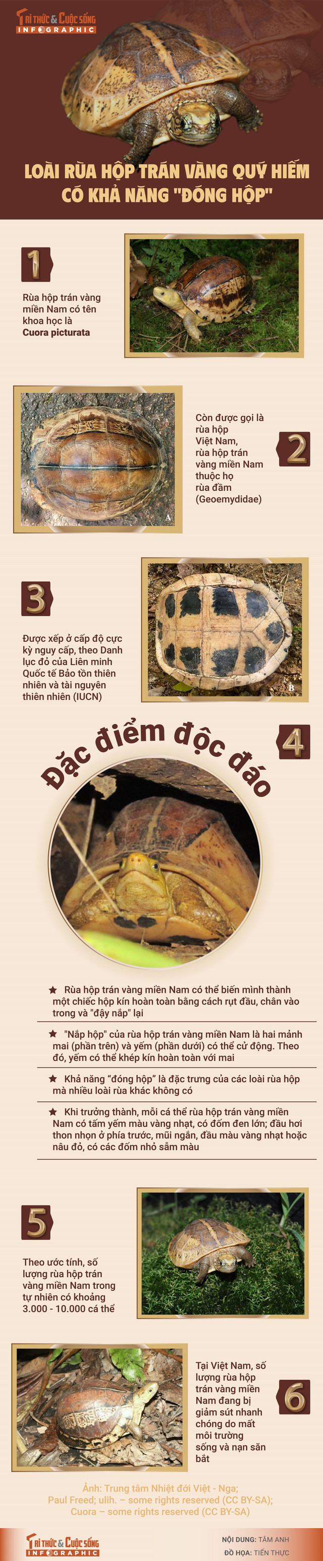 info-rua-hop-01.jpg