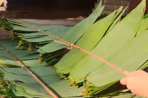 Một loại lá bỏ đi không ai lấy sang nước ngoài thành hàng đắt đỏ