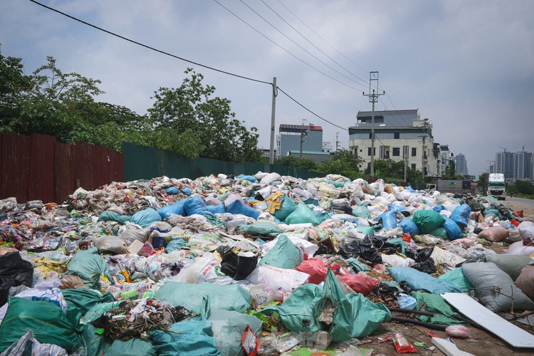 Thực phẩm bị đổ bỏ tại bãi rác là các loại bánh kẹo, hạt, hoa quả sấy, thạch,... đã hết hạn sử dụng từ năm 2024. (Ảnh tienphong.vn) Thực phẩm bị đổ bỏ tại bãi rác là các loại bánh kẹo, hạt, hoa quả sấy, thạch,... đã hết hạn sử dụng từ năm 2024. (Ảnh tienphong.vn)
