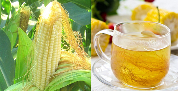 Râu ngô có rất nhiều tác dụng tốt cho cơ thể. Râu ngô có rất nhiều tác dụng tốt cho cơ thể.