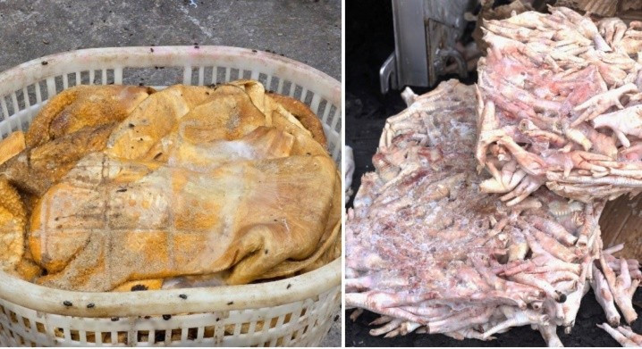 Kho hàng đông lạnh chứa hơn 25 tấn thực phẩm bẩn bốc mùi hôi thối. (Ảnh CAND) 1111.jpg