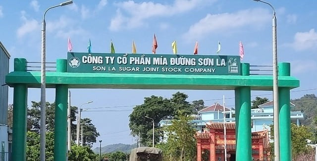 Ảnh minh hoạ mia-duong-son-la-iyoi.jpg