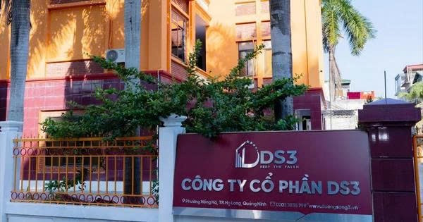 Ảnh minh hoạ ds3-17554046862741109324863.jpg