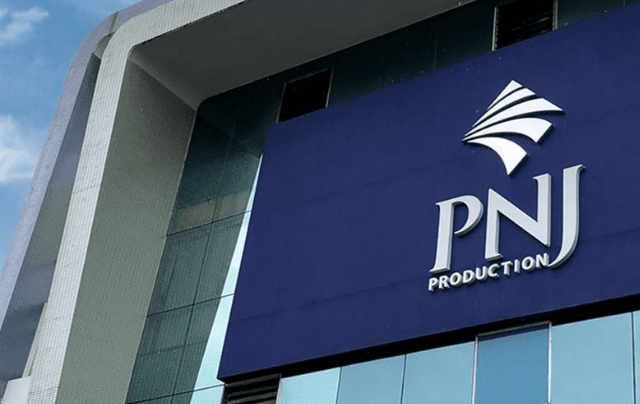 Ảnh minh hoạ pnj-djwn.png