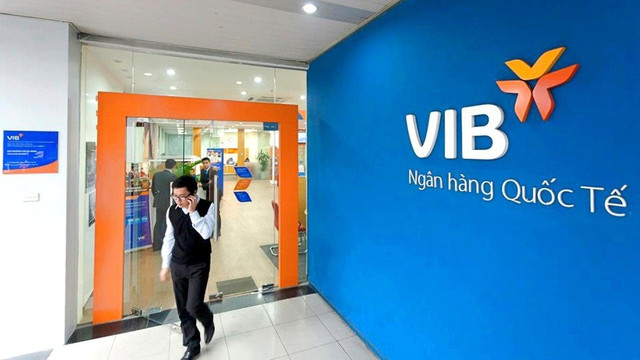 Ảnh minh họa ngan-hang-vib-chien-luoc-ban-le-phat-huy-hieu-qua-loi-nhuan-du-bao-tang-22-6869c02a83a65.jpg