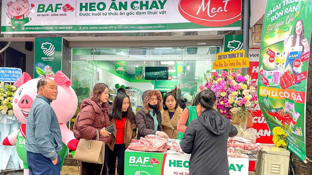 Ảnh minh hoạ heo-an-chay-baf-viet-nam-baf-doanh-thu-lap-ky-luc-moi-dam-bao-chat-luong-heo-sach-684a806182c87.jpg