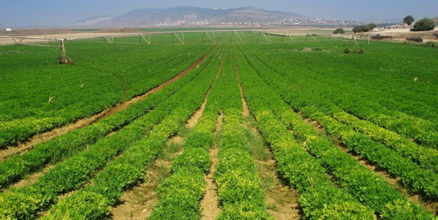 Ảnh minh hoạ pan-farm-phan-bo-von-ngoai-vao-dau1495382283.jpg