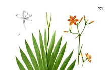 Chữa bệnh bằng rễ cây