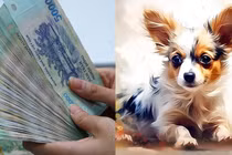 3 con giáp hốt bạc 2024: Càng chăm chỉ tiền càng nhiều