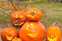 Kinh ngạc ý nghĩa phong thủy ít biết của bí ngô trong lễ Halloween