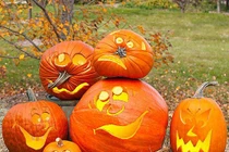 Kinh ngạc ý nghĩa phong thủy ít biết của bí ngô trong lễ Halloween