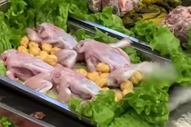 Ếch đã chế biến vẫn bật nhảy tanh tách trên bàn ăn