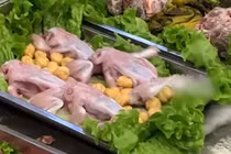 Ếch đã chế biến vẫn bật nhảy tanh tách trên bàn ăn