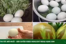 Những người không nên ăn trứng gà ngải cứu 