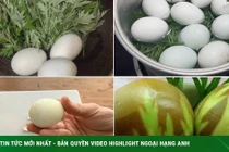 Những người không nên ăn trứng gà ngải cứu 