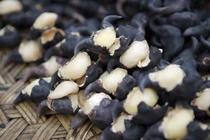 Loại củ xấu xí nhưng ngừa ung thư đường tiêu hóa cực tốt