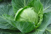 7 loại rau giàu canxi gấp nhiều lần nước xương, cao hơn cả sữa 