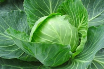 7 loại rau giàu canxi gấp nhiều lần nước xương, cao hơn cả sữa 