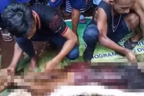 Mổ bụng “quái thú” phồng lên bất thường, rụng rời vì thứ bên trong