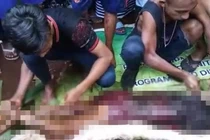 Mổ bụng “quái thú” phồng lên bất thường, rụng rời vì thứ bên trong