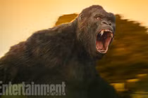 King Kong mới trong phim bom tấn quay ở Việt Nam lộ diện