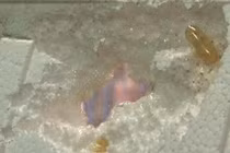 Phát hoảng dầu cá Omega 3 Trung Quốc ăn mòn miếng xốp