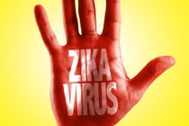 Bệnh do virus Zika ăn não có triệu chứng thế nào?