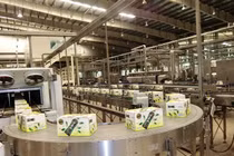 Soi dây chuyền TQ sản xuất trà Ô Long Tea+Plus nguyên liệu Trung Quốc 