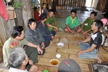 Lo ngại nạn tự tử bằng lá ngón ở Quảng Ngãi