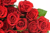 Vợ ho gãy xương sườn vì được chồng tặng hoa