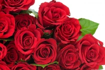 Vợ ho gãy xương sườn vì được chồng tặng hoa