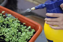 7 điều gây sốc về độc tố xung quanh chúng ta