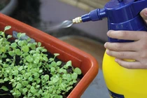 7 điều gây sốc về độc tố xung quanh chúng ta