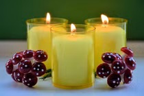 Chiêu độc để nhà không có bóng dáng con ruồi, muỗi nào