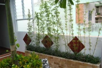 Cách trồng cây trước nhà đúng phong thủy