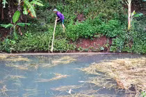 Ảnh: Tôm cá chết bất thường đầu nguồn sông Đà