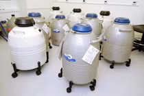 Bé gái 2 tuổi được đông lạnh trứng chờ sinh con