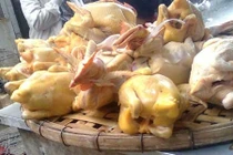 Cách phân biệt gà ta với gà thải Trung Quốc bằng mắt thường