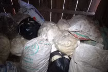 Bình Phước phát hiện hàng trăm kg mỡ bẩn