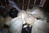 Bình Phước phát hiện hàng trăm kg mỡ bẩn