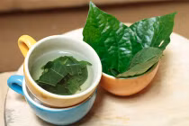 Bài thuốc dân gian dễ kiếm trị đau bụng do lạnh