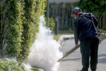 Australia, Thái Lan phát hiện trường hợp nhiễm virus Zika đầu tiên