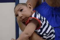 Báo động virus Zika lan rộng từ châu Phi sang châu Âu