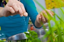 Tổn thương thần kinh, vô sinh do ăn nhiều mì chính