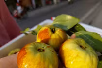 Xuất hiện loại táo Trung Quốc có giá hàng trăm nghìn đồng/kg