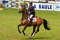 Chất lỏng này ở ngựa đắt hơn vàng, người sành nghe qua đoán được ngay